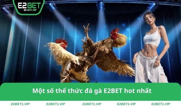 Một số thể thức đá gà E2BET hot nhất